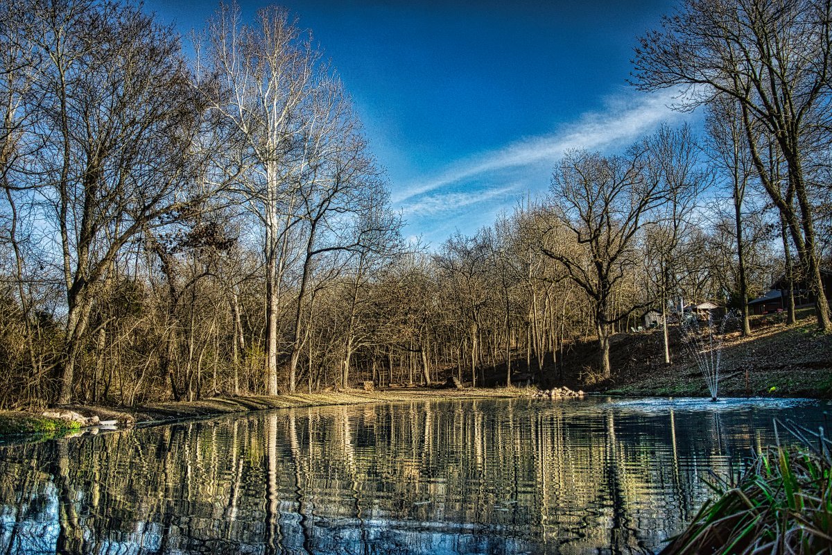 Stocked fishing pond on the Lodge Between the Lakes property