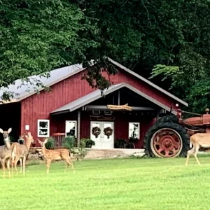 Visitors to Grandpas' Barn